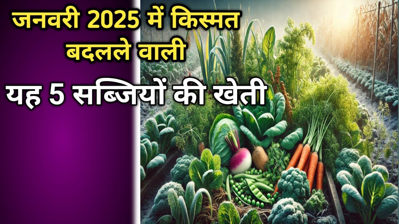 जनवरी माह में लगाने वाली 5 सब्जियाँ
