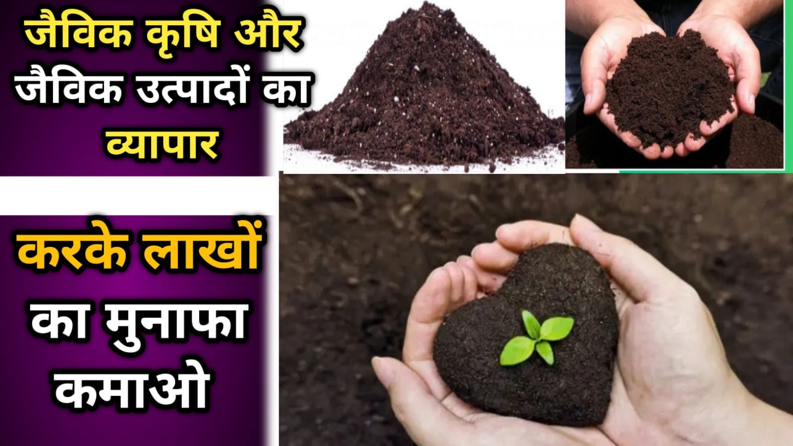 जैविक कृषि और जैविक उत्पादों का व्यापार