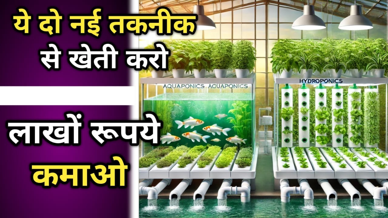 एक्वापोनिक्स और हाइड्रोपोनिक्स
