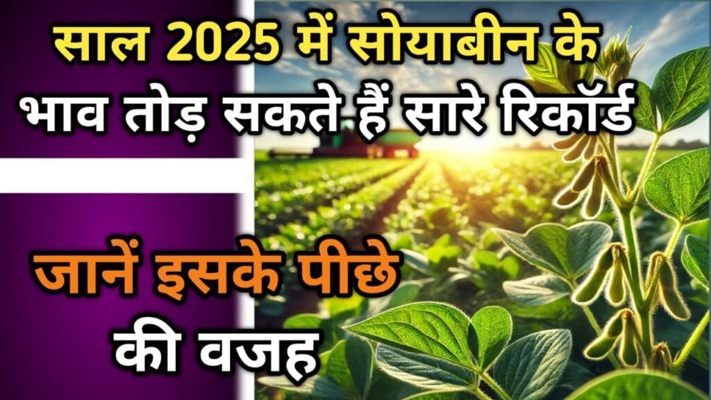2025 में सोयाबीन के भाव
