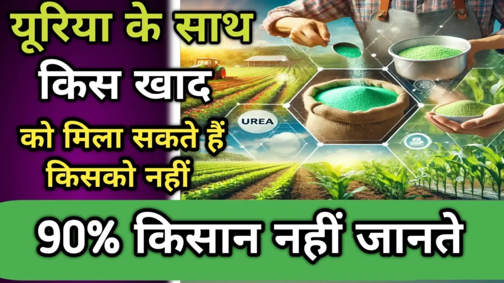 यूरिया के साथ खाद