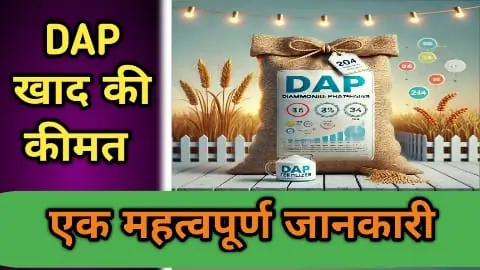 DAP खाद की कीमत