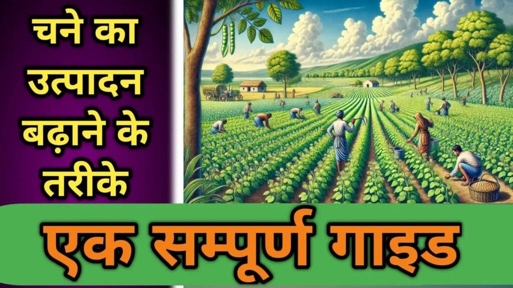 चने का उत्पादन बढ़ाने के तरीके