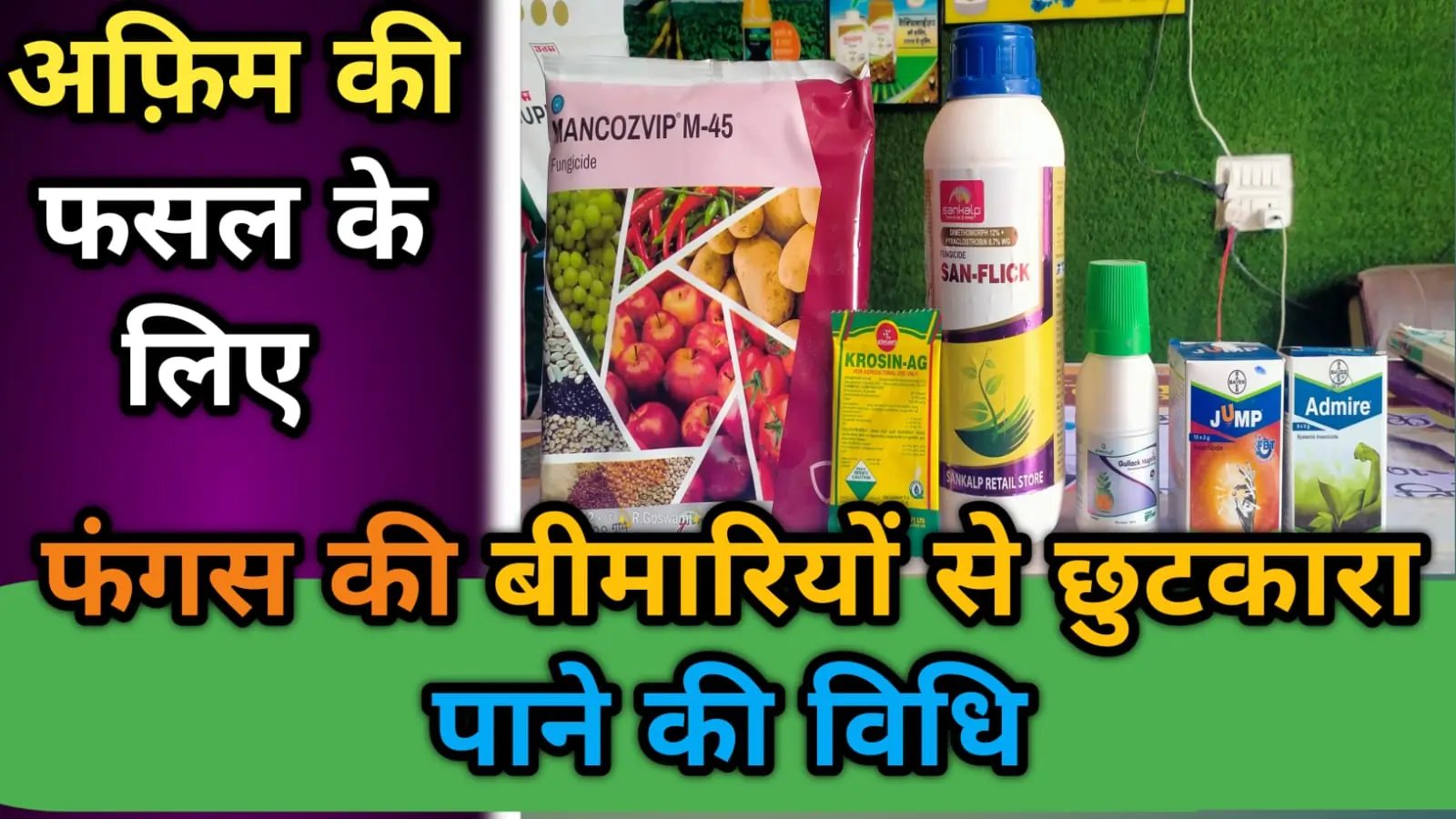 अफ़िम की फसल के लिए फंगस की बीमारियों से छुटकारा पाने की विधि