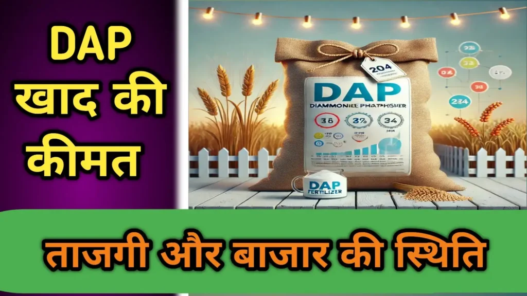 DAP खाद की कीमत: एक महत्वपूर्ण जानकारी