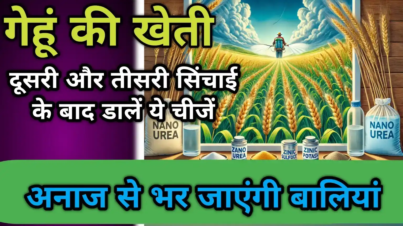गेहूं की खेती में सिंचाई और उर्वरकों का महत्व