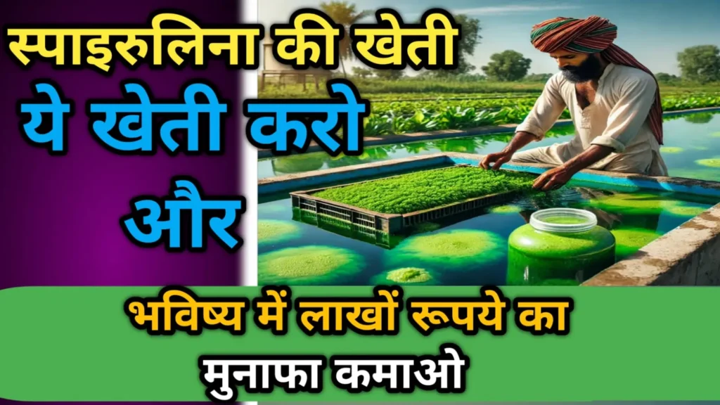 स्पाइरुलिना की खेती