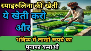 स्पाइरुलिना की खेती