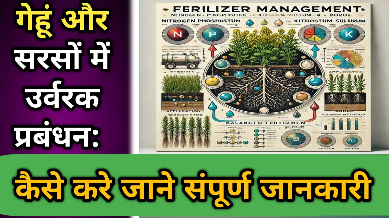 गेहूं और सरसों में उर्वरक प्रबंधन