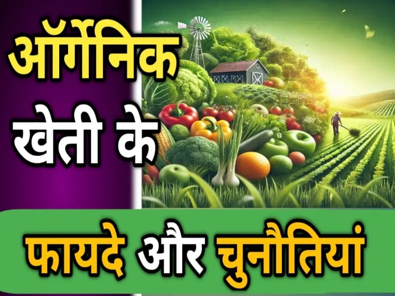 ऑर्गेनिक खेती
