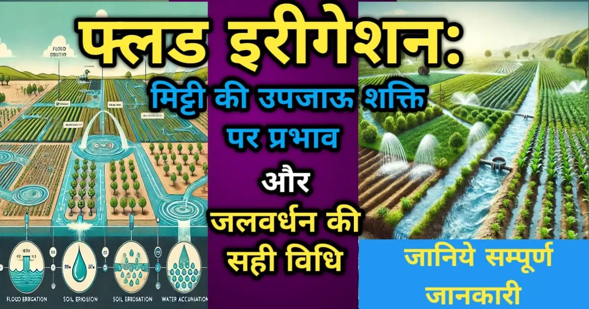 फ्लड इरीगेशन के दीर्घकालिक प्रभाव