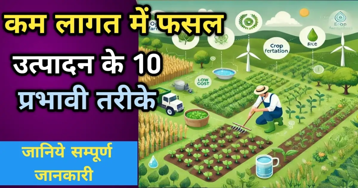 कम लागत में फसल उत्पादन