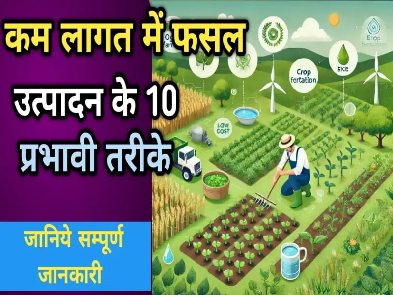कम लागत में फसल उत्पादन