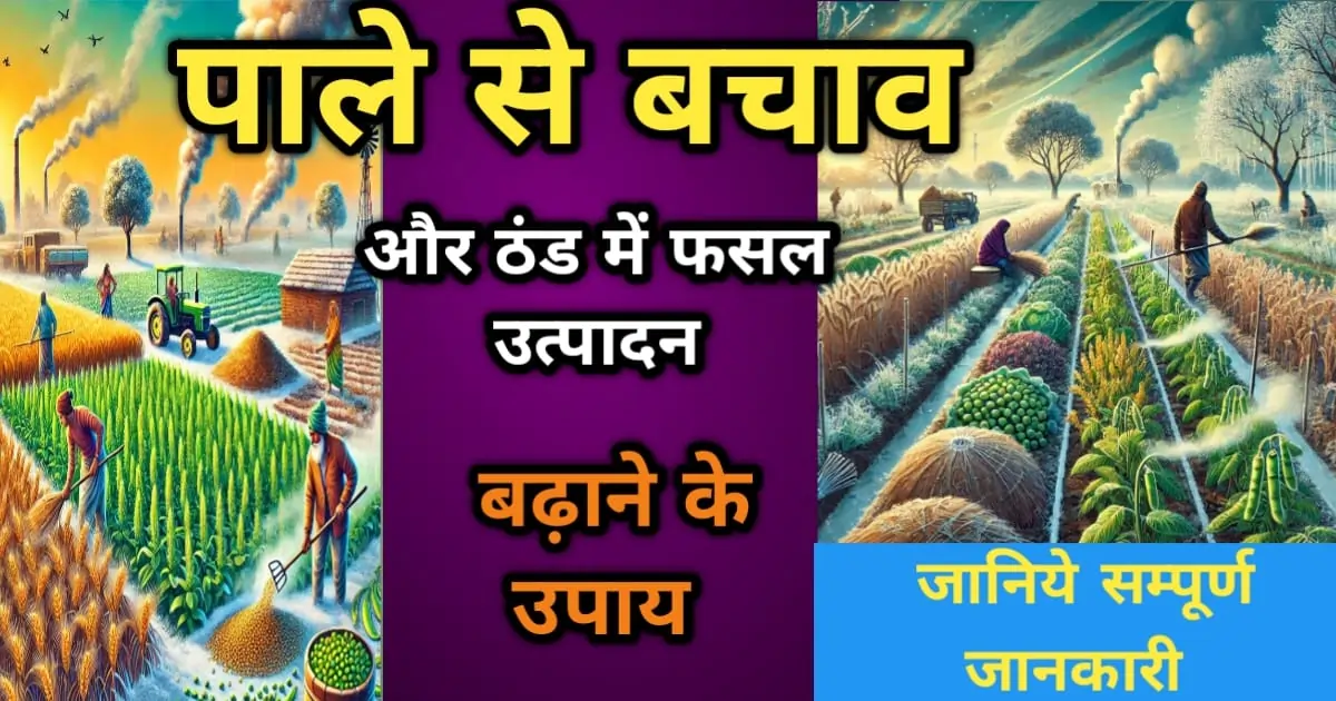 ठंड में फसल की देखभाल