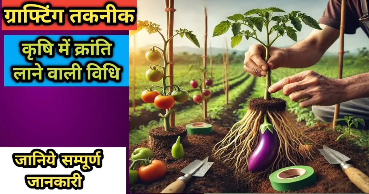 ग्राफ्टिंग तकनीक