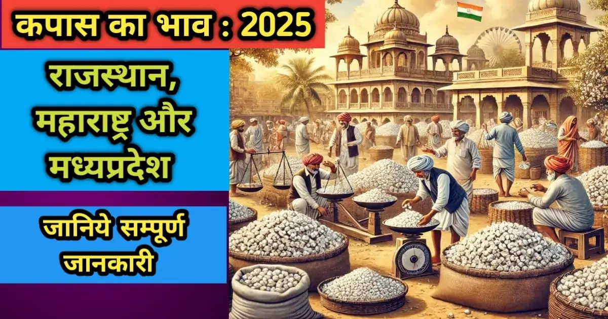 कपास का भाव