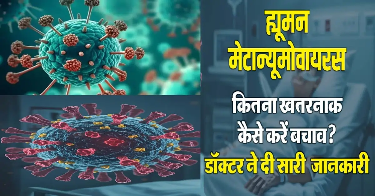 मानव मेटाप्नियोमावायरस (HMPV)