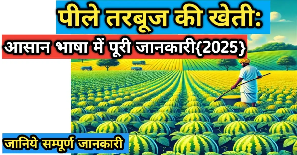 पीले तरबूज की खेती