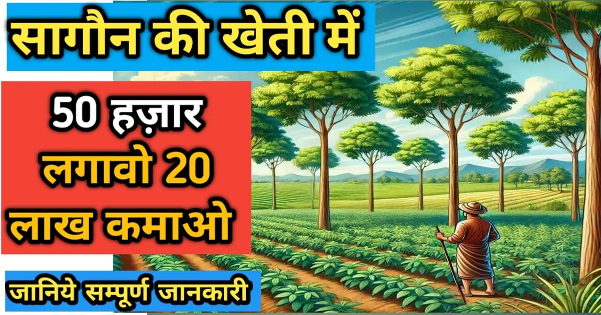 सागौन की खेती