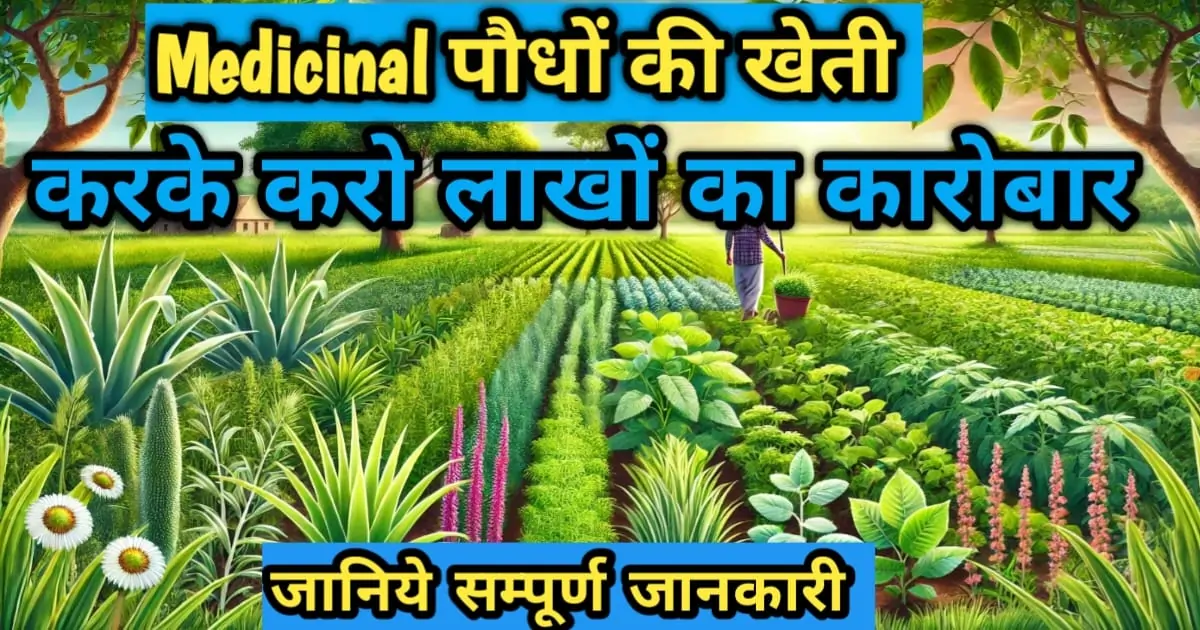 Medicinal पौधों की खेती