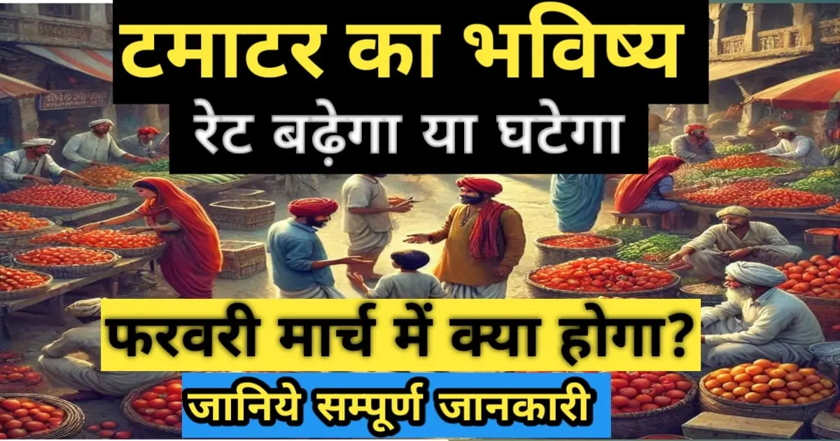 टमाटर मंडी भाव