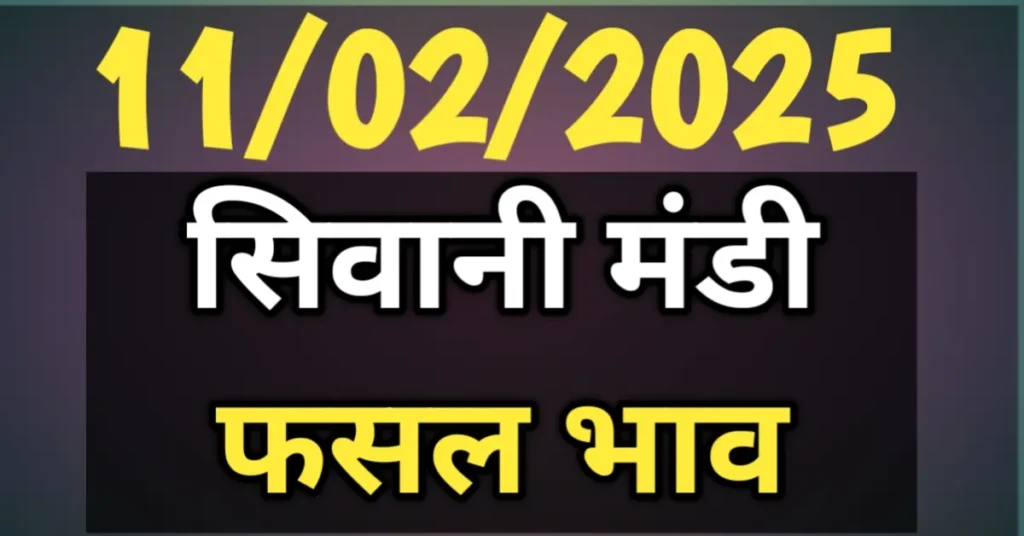 सिवानी मंडी के भाव