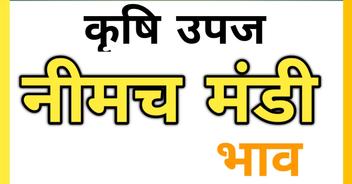 आज मंडी भाव नीमच के