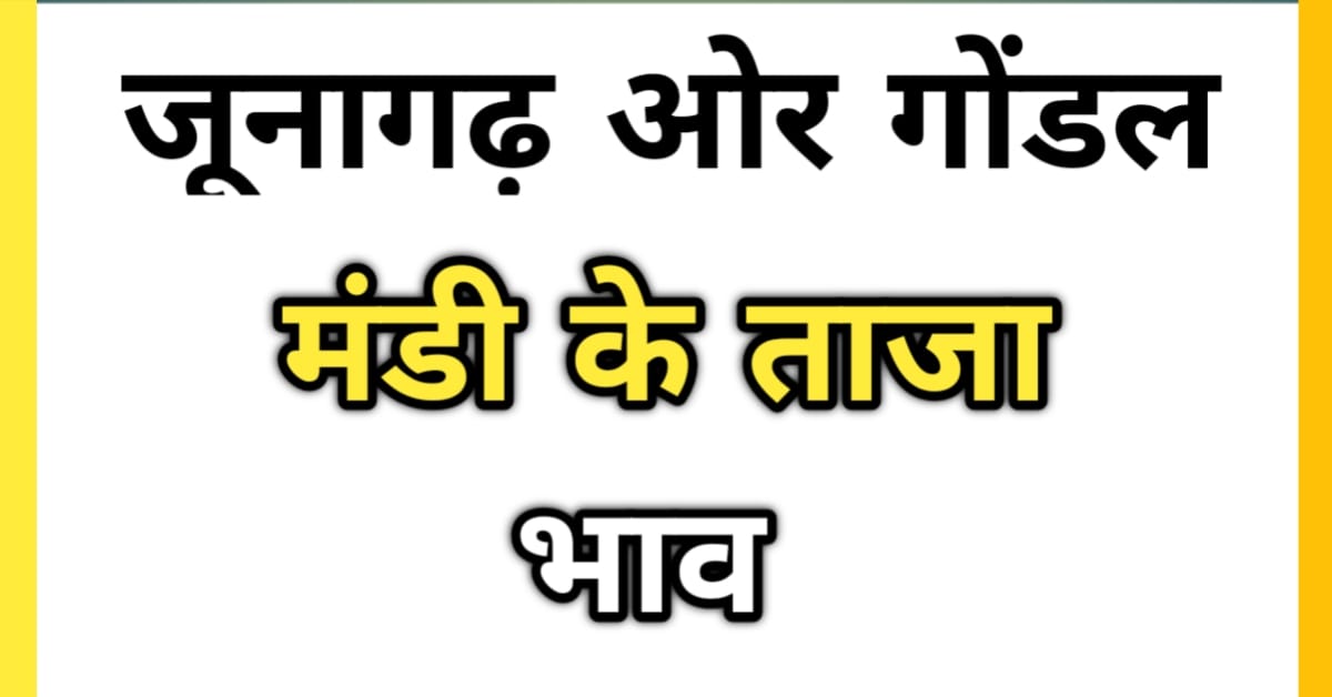 जूनागढ़ मंडी भाव