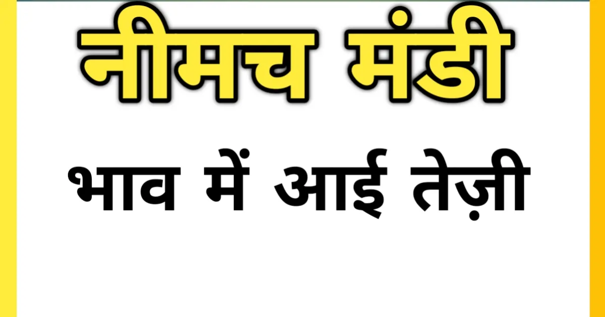 धनिया नीमच मंडी भाव