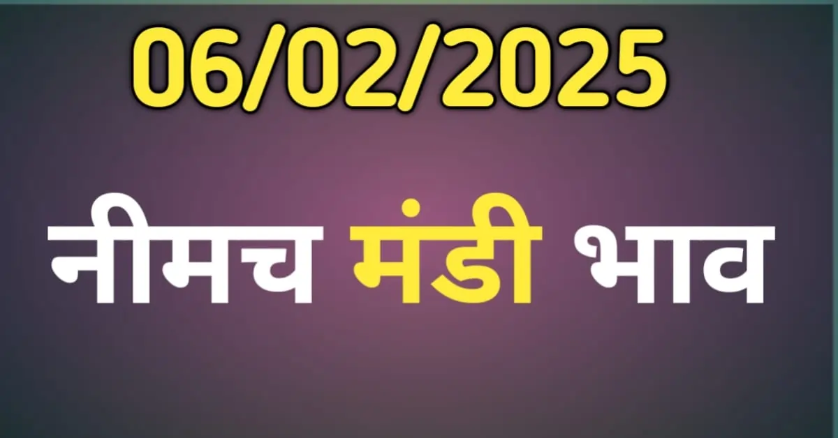 नीमच मंडी भाव आज