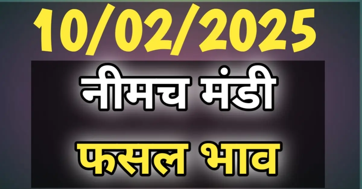 नीमच मंडी भाव