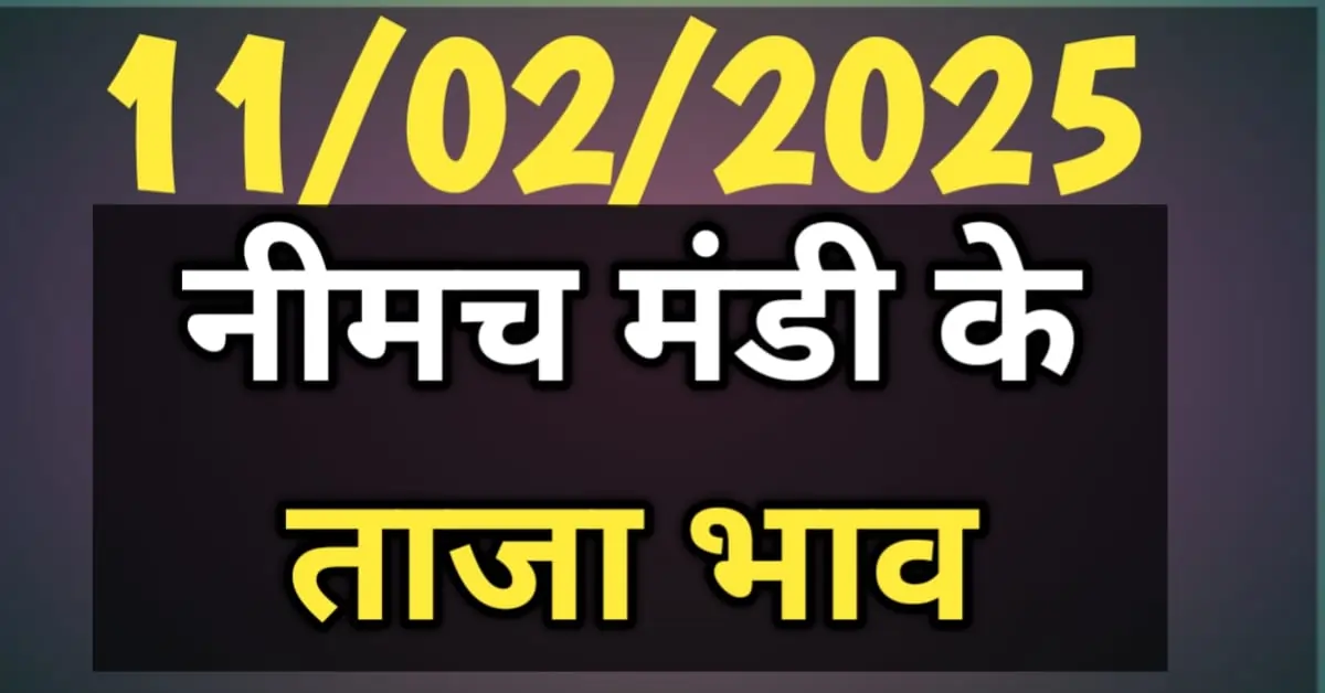 नीमच मंडी के ताजा भाव