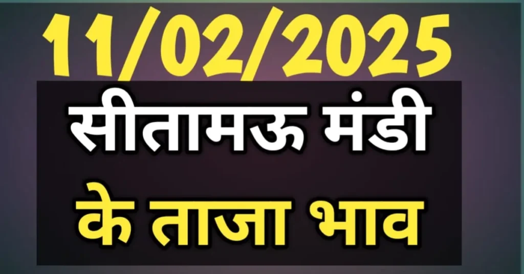 सीतामऊ मंडी भाव