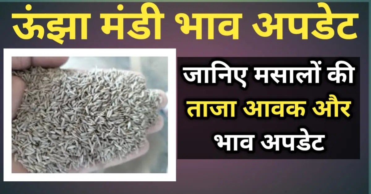 ऊंझा मंडी भाव अपडेट