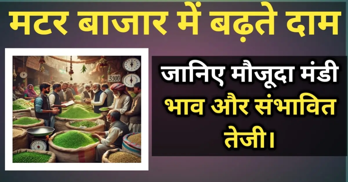 भारतीय मंडी में किसान और व्यापारी मटर (मंडी भाव) पर चर्चा कर रहे हैं, चारों ओर ताजा हरी मटर की बोरियां और बाजार का माहौल।