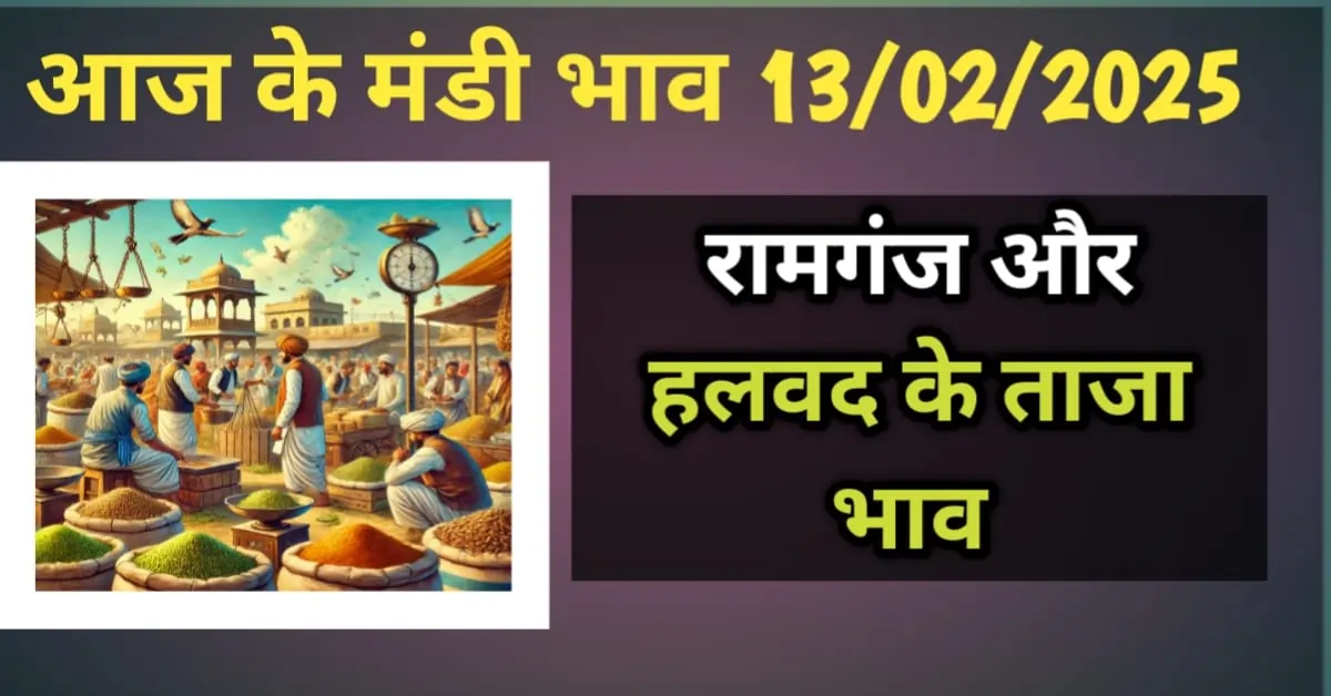 आज के मंडी भाव 13 फरवरी 2025