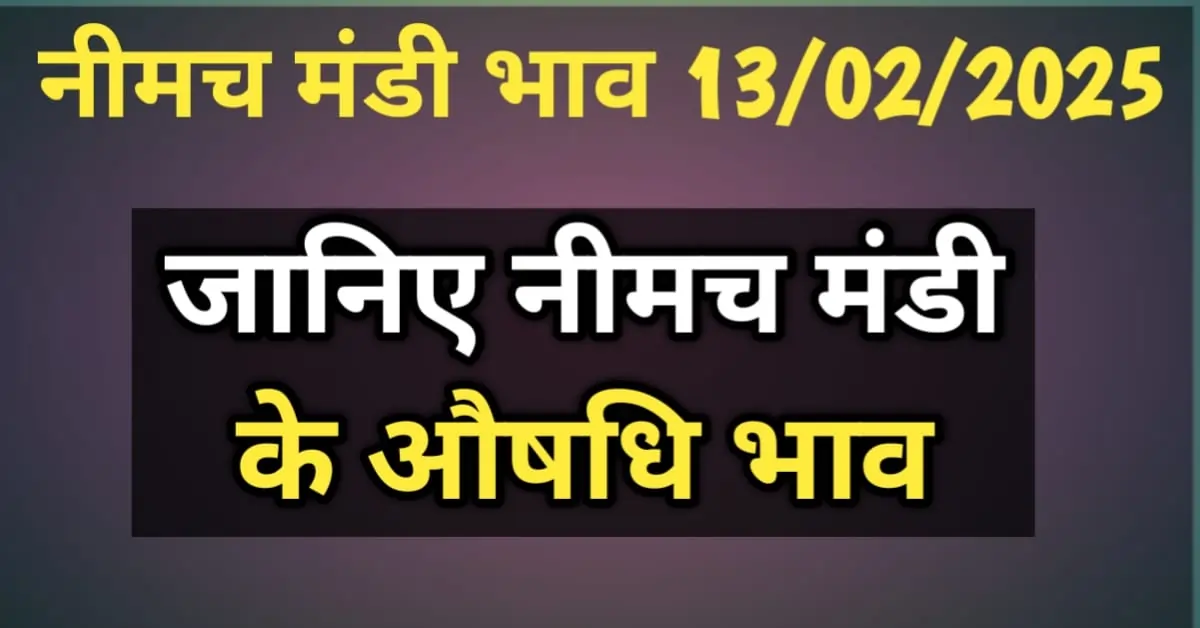 नीमच मंडी में आज के बाजार रुझान