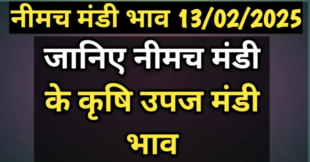 नीमच मंडी भाव 13 फरवरी 2025