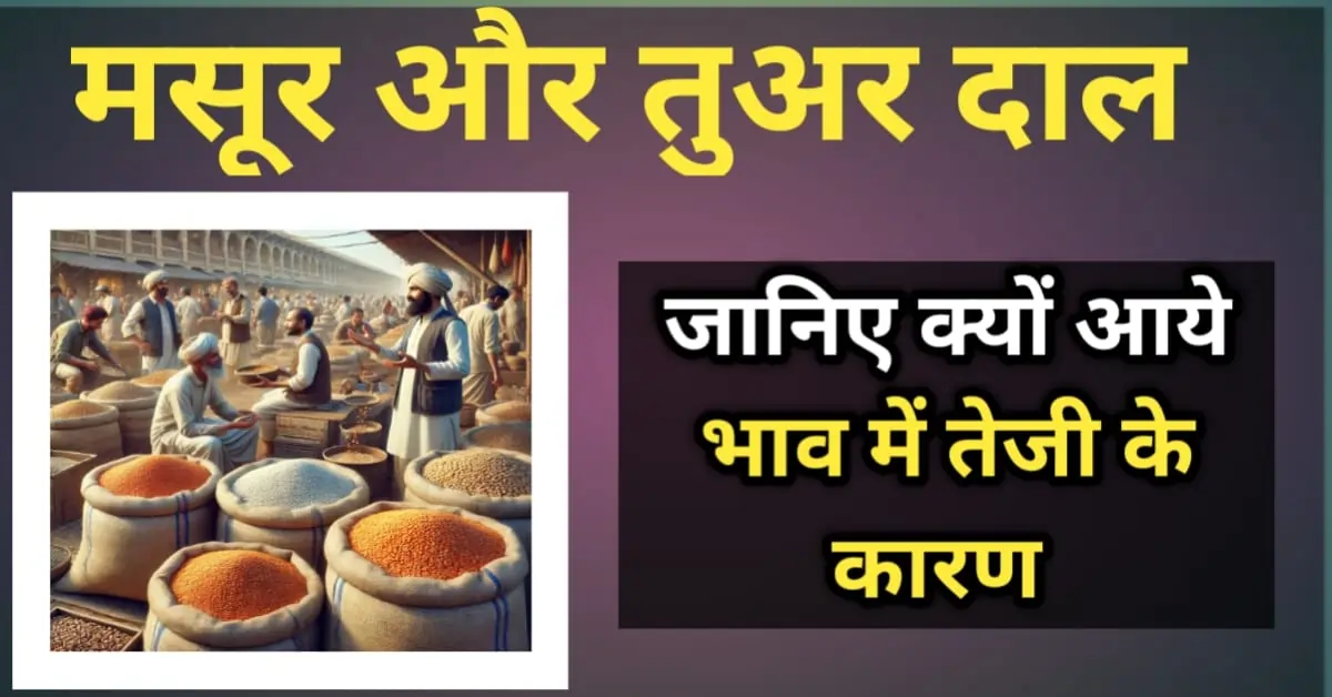 मसूर और तुअर दाल के भाव