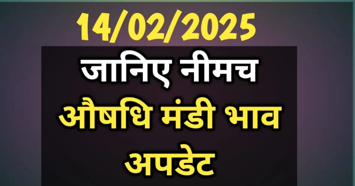 नीमच मंडी के औषधि भाव