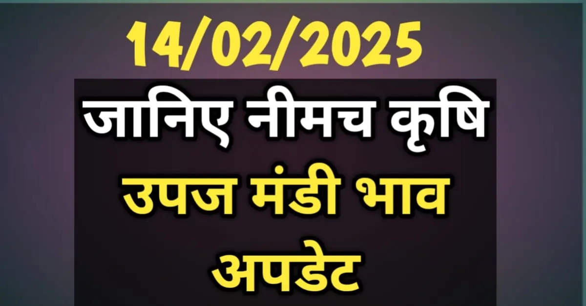 आज के अनाज और फसलों के बाजार भाव