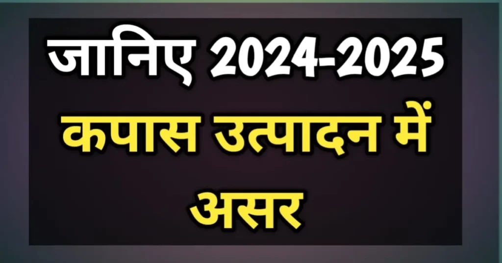 2024-25 में कपास उत्पादन 