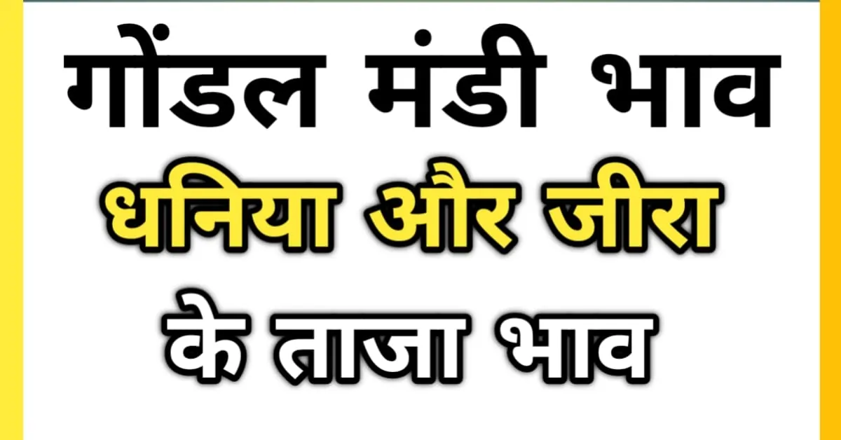 गोंडल मंडी भाव