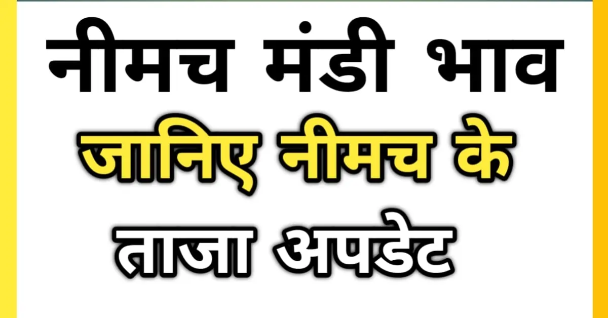 प्याज नीमच मंडी भाव